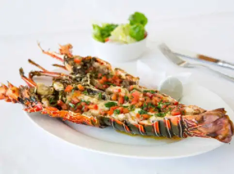 Dining Room at Park Hyatt Zanzibar