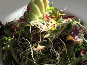 The Tree House