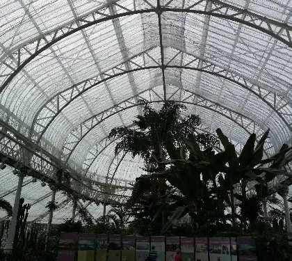 Winter Garden Cafe
