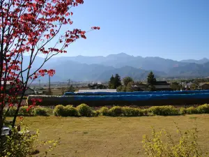 Cafe Kaze No Iro