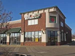 Red Olive Restaurant - Clawson