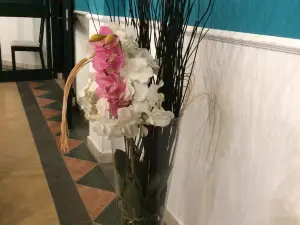 L'Orchidea