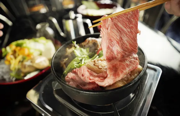 Hida beef sukiyaki shabu-shabu Nakabashi Wakachiya