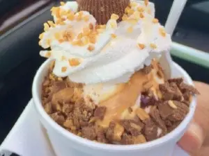 Twistee Treat