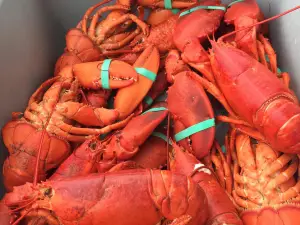 Green Harbor Lobster Pound Inc