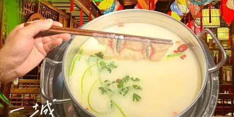 龍記斑魚火鍋(十一分店)