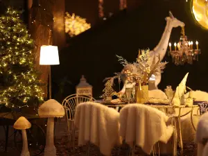 Orangery Cafe & More