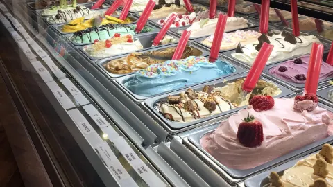The Groovy Moo - Malton in Malton