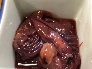 Magokoro