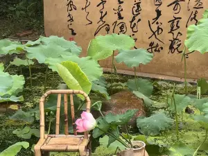 马山南风小院