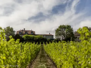 Domaine de Châteauvieux
