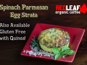Red Leaf Organic Coffee