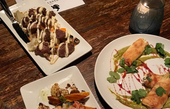 The Velveteen