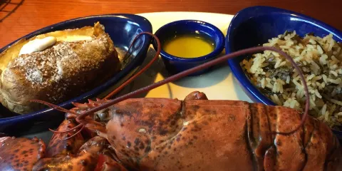 Red Lobster