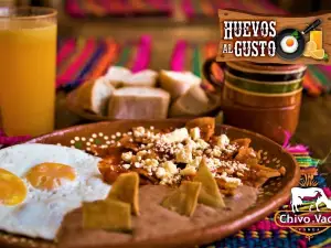 Fonda Chivo y Vaca Tequila Jal.