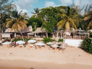 Sea Shed Restaurant