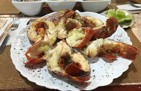 Pimienta y Sal Bar - Restaurante