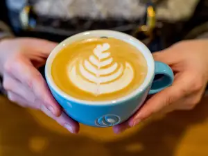 The Bean Specialty Coffee