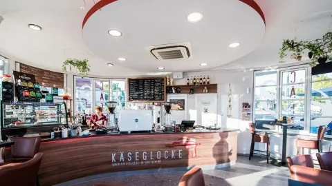 Käseglocke in Dresden
