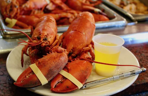 Boston Lobster Feast