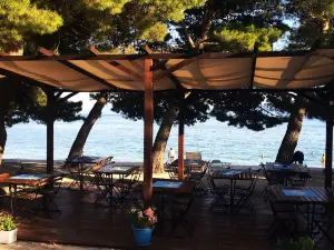 Pizzeria Sajeta