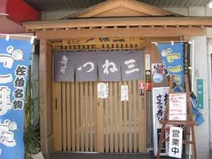 Tsunesan