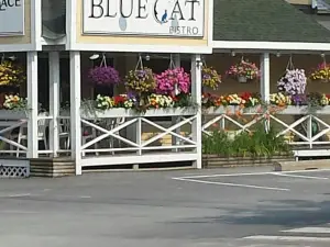 Blue Cat Bistro