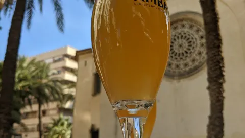 Gustav Klimt in Elche