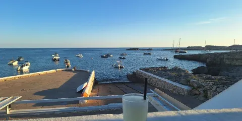 Paupa