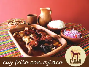 Trilla Warique Andino