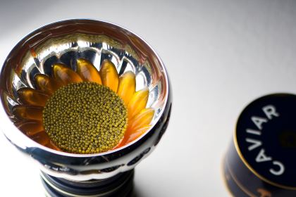 Alain Ducasse at Morpheus