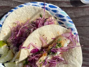 Talkeetna Tako