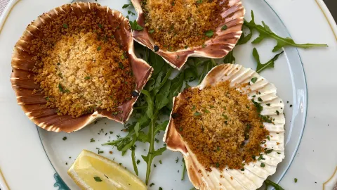 Trattoria Alla Borsa in Grado