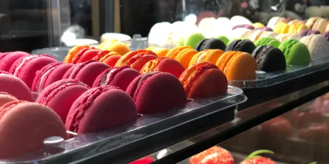 Chocolate Boutique House Bondarenko
