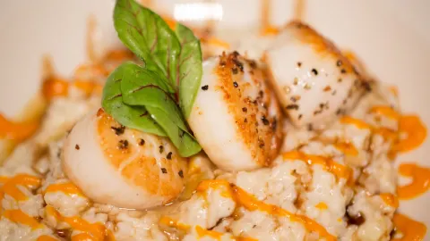 Maximillians Grill & Wine Bar in Cary