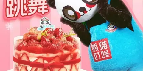 熊貓叮咚·生日蛋糕（岳西店）