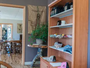 Buckin' Bean Coffee Roasters