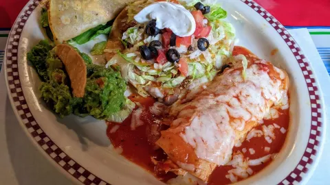 Red Iguana in Utah