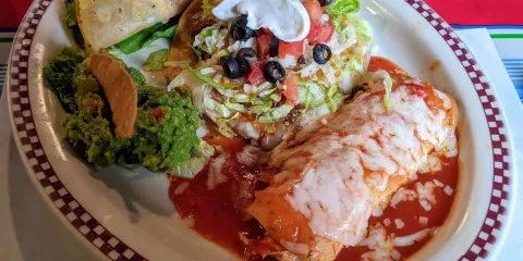 Red Iguana