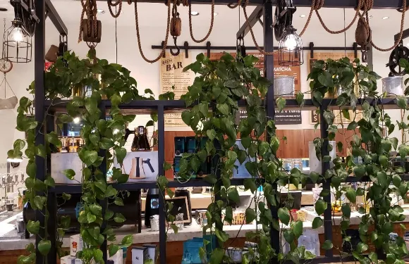 Fairgrounds Coffee & Tea