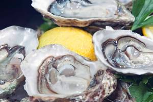 Oyster