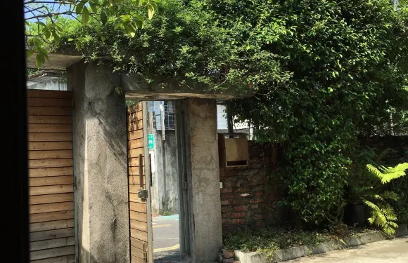 苔毛咖啡