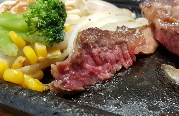 Tekka Steak