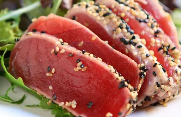 Tashi Sushi