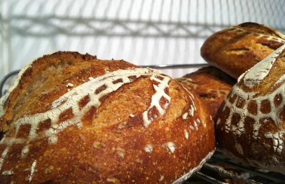 Underground Baking Co.
