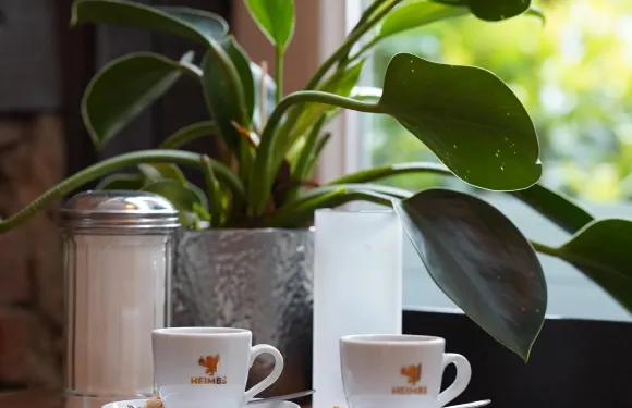 Ni-Coffee Coffeeshop