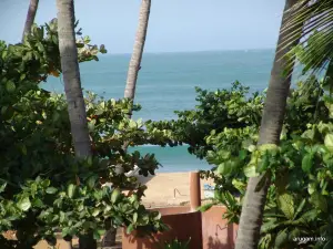 Siam View Hotel -SVH-
