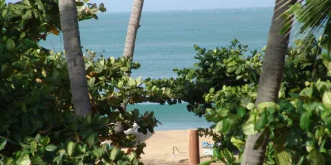Siam View Hotel (SVH)