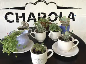 Charola Cocina & Bazar