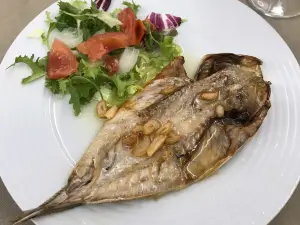 Bar Tolmay